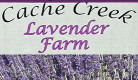 lavendar